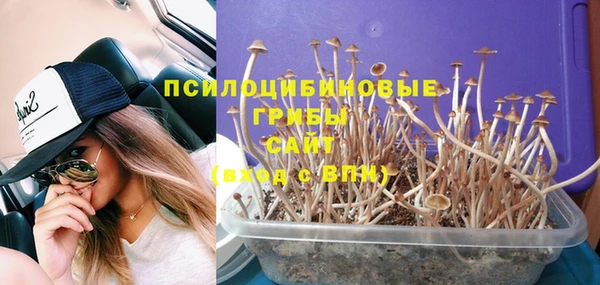 бошки Вязники